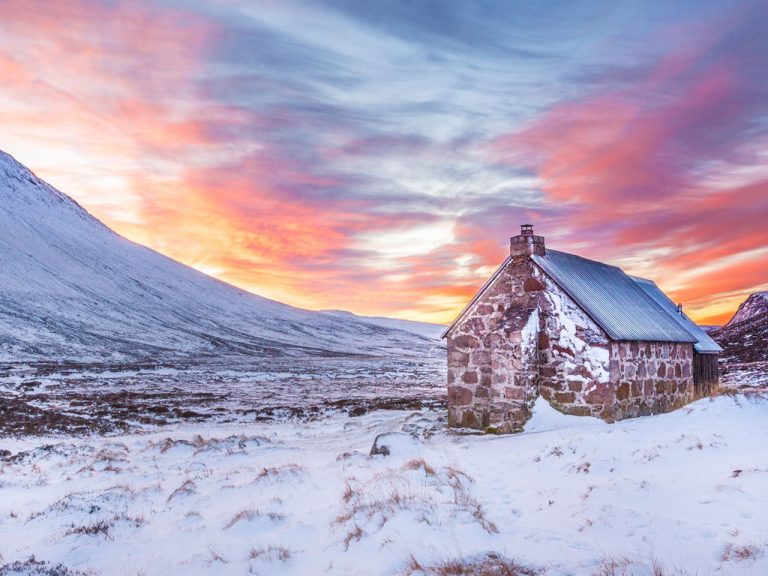 1000 years of Cadzows